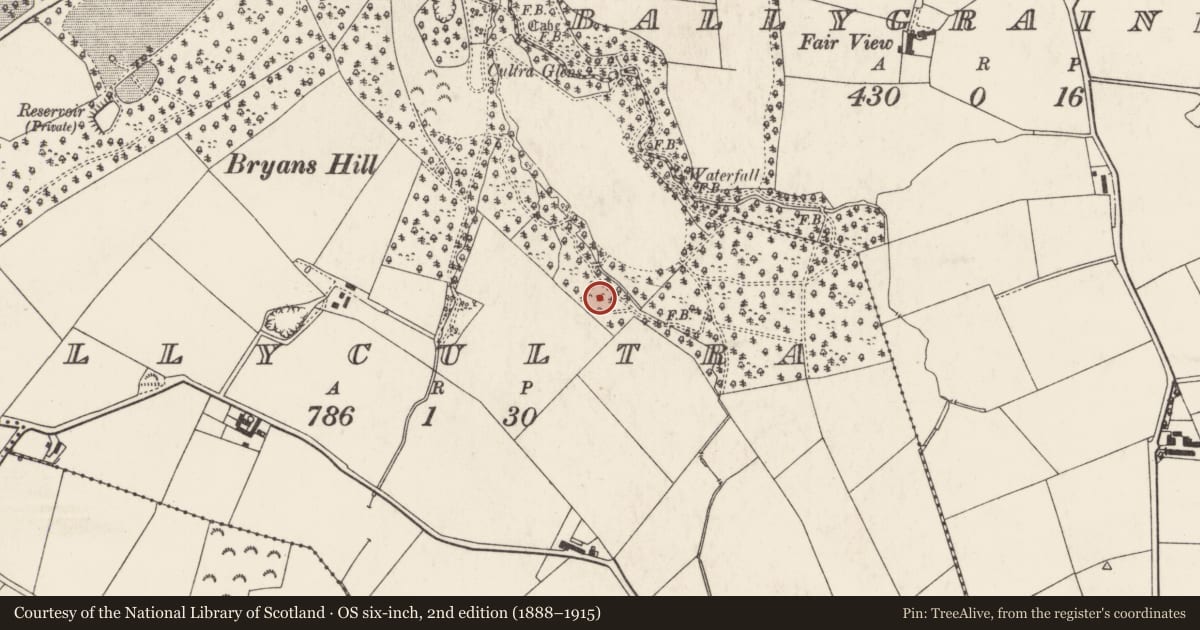 Ordnance Survey six-inch map, 2nd edition (1888–1915) covering the location of The Spade Mill, Ards and North Down, with a pin at the register's coordinates