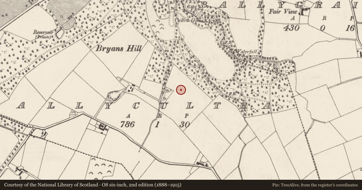 Ordnance Survey six-inch map, 2nd edition (1888–1915) covering the location of The Cushendall Farm, Ards and North Down, with a pin at the register's coordinates