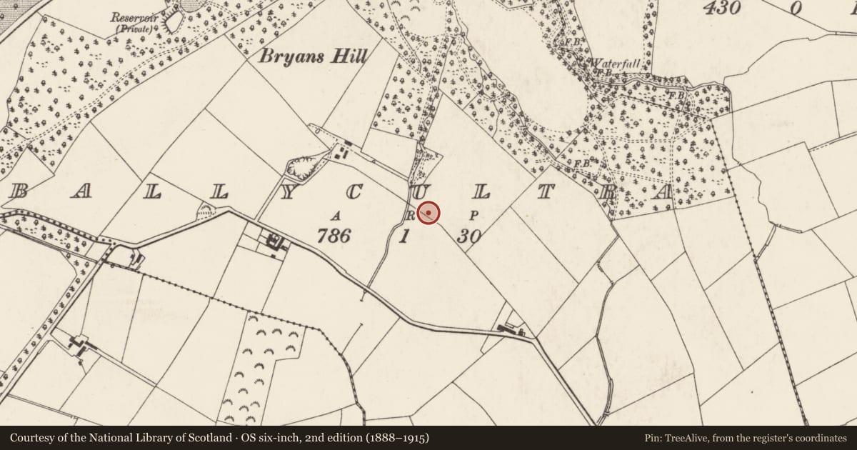 Ordnance Survey six-inch map, 2nd edition (1888–1915) covering the location of Lisrace Smithy, Ards and North Down, with a pin at the register's coordinates