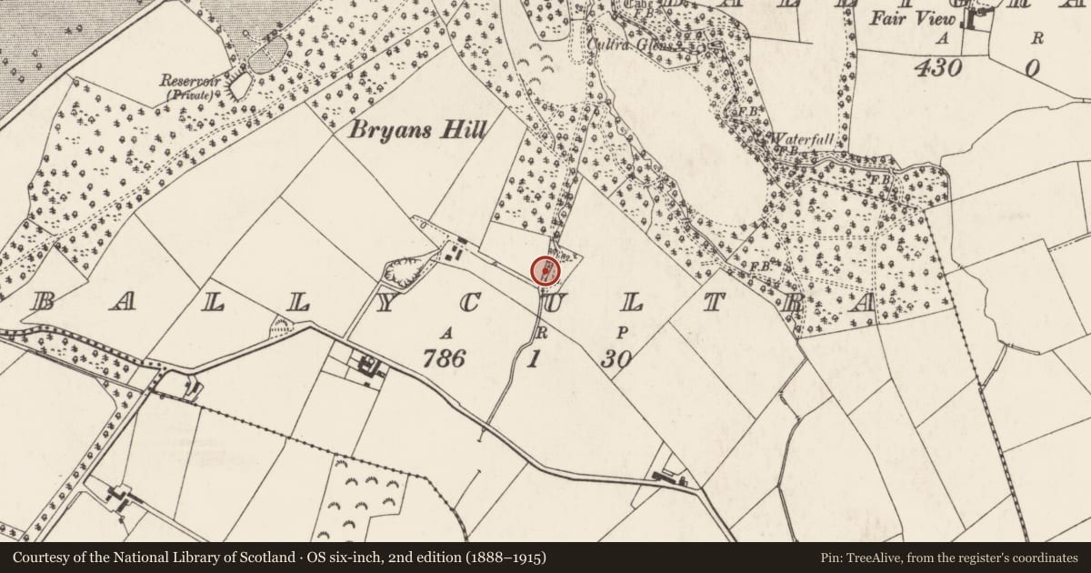 Ordnance Survey six-inch map, 2nd edition (1888–1915) covering the location of The Scutch Mill, Ards and North Down, with a pin at the register's coordinates