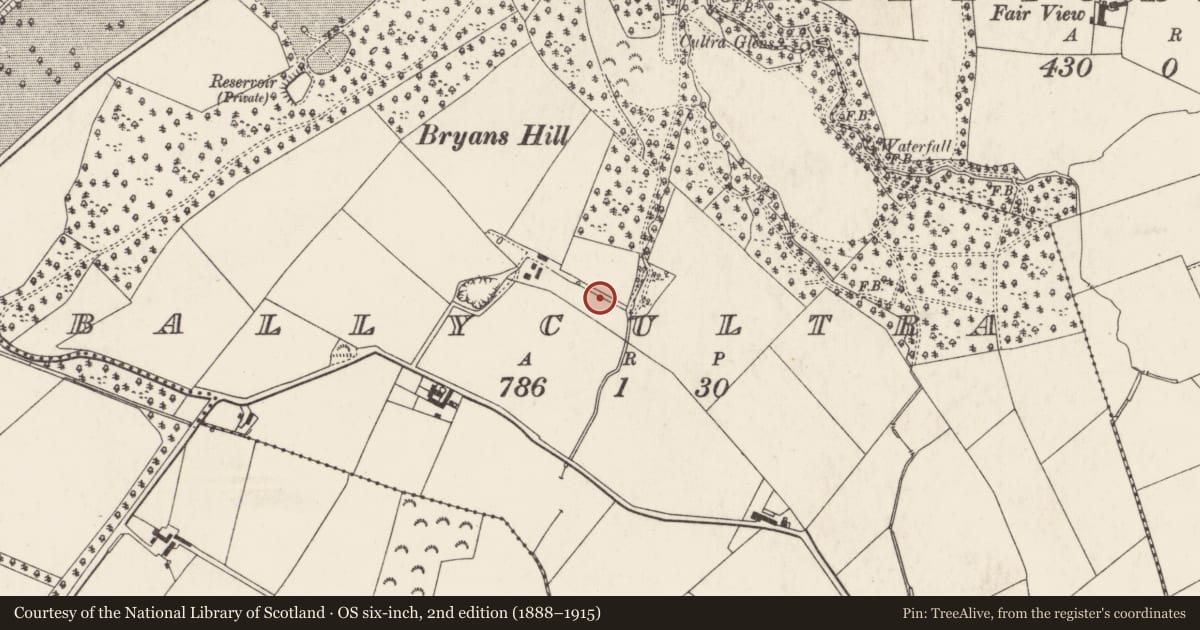 Ordnance Survey six-inch map, 2nd edition (1888–1915) covering the location of Bleach Green Watch Tower, Ards and North Down, with a pin at the register's coordinates