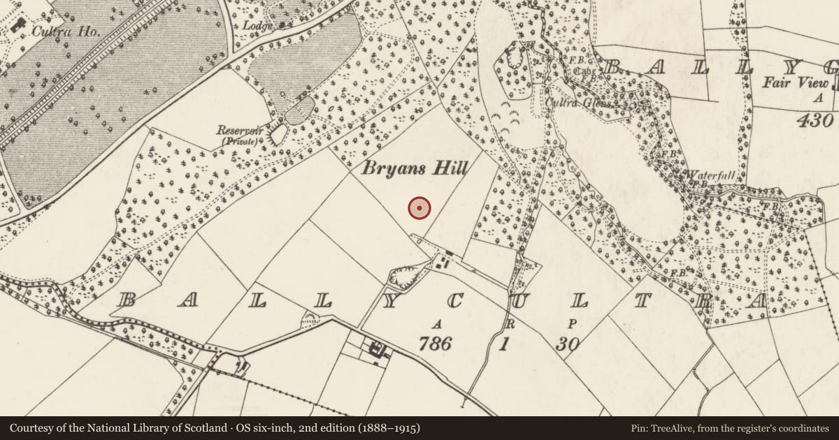 Ordnance Survey six-inch map, 2nd edition (1888–1915) covering the location of The Lismacloskey House, Ards and North Down, with a pin at the register's coordinates