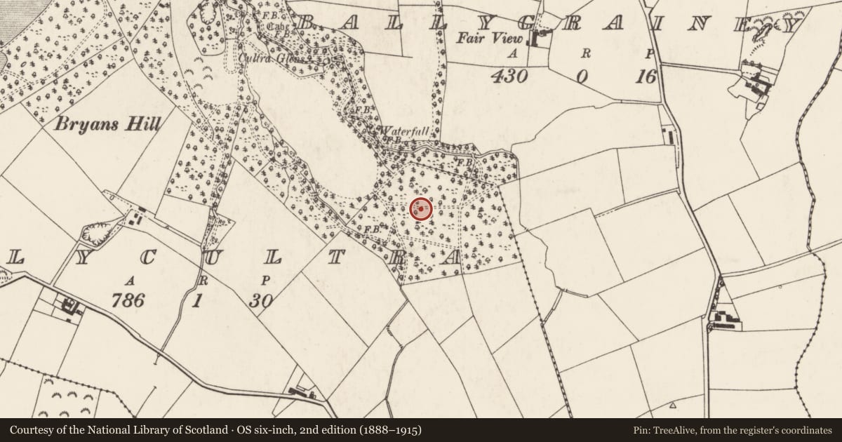 Ordnance Survey six-inch map, 2nd edition (1888–1915) covering the location of Magilligan Cottier'S House, Ards and North Down, with a pin at the register's coordinates