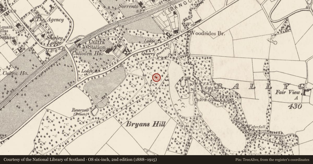 Ordnance Survey six-inch map, 2nd edition (1888–1915) covering the location of Kennedy Graveyard, Ards and North Down, with a pin at the register's coordinates