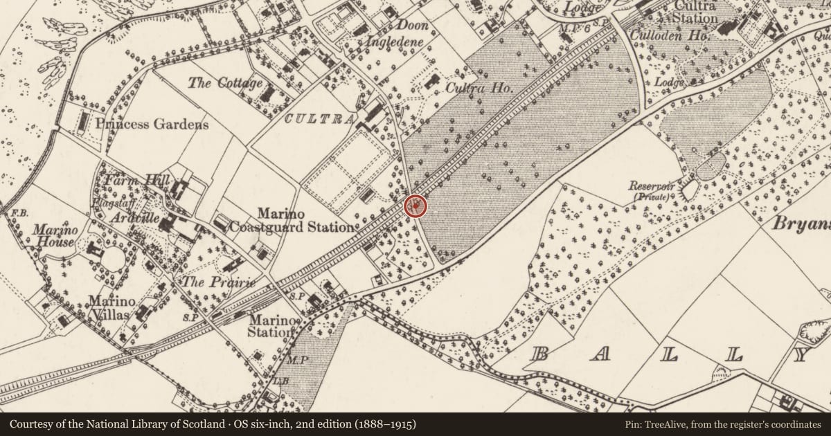 Ordnance Survey six-inch map, 2nd edition (1888–1915) covering the location of Bridge-over-railway, Ards and North Down, with a pin at the register's coordinates