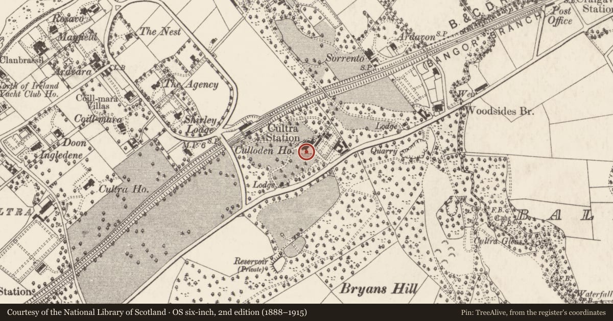 Ordnance Survey six-inch map, 2nd edition (1888–1915) covering the location of Culloden Hotel, Ballycultra, Ards and North Down, with a pin at the register's coordinates