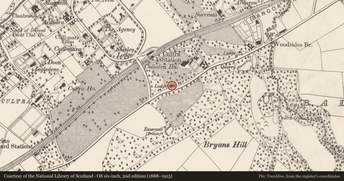 Ordnance Survey six-inch map, 2nd edition (1888–1915) covering the location of Stag Lodge and Stables, Ards and North Down, with a pin at the register's coordinates