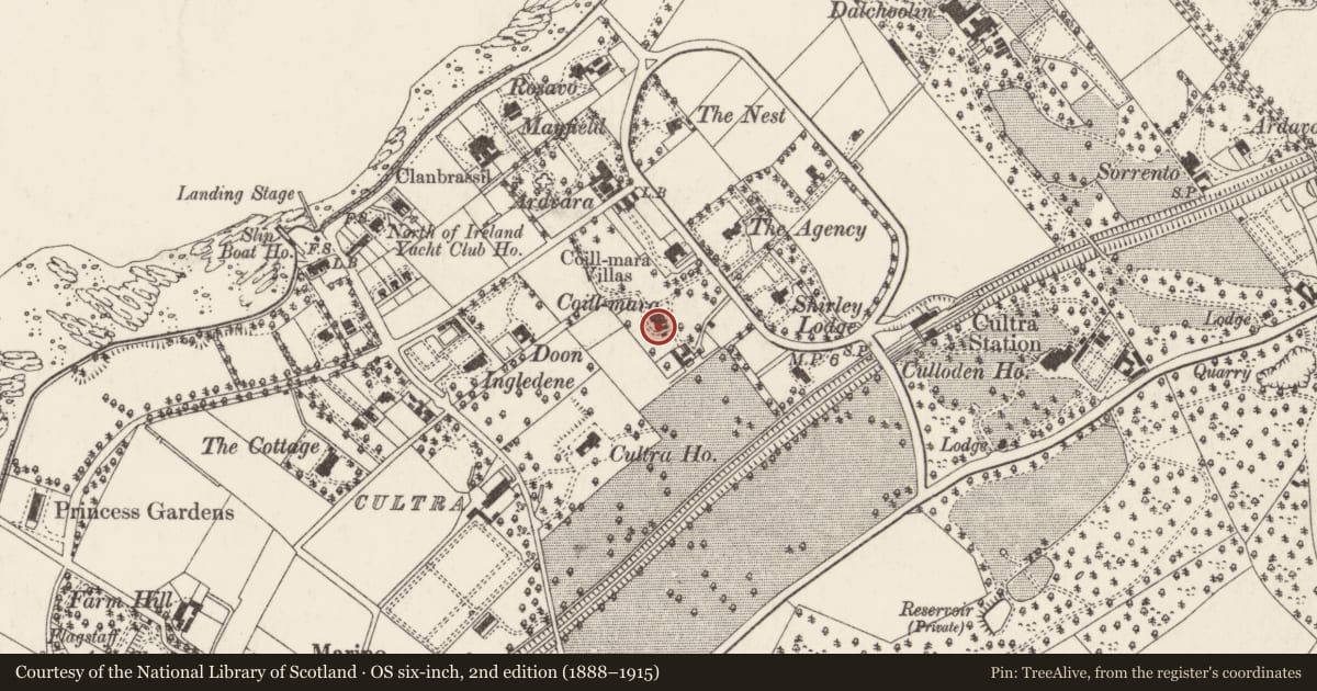 Ordnance Survey six-inch map, 2nd edition (1888–1915) covering the location of Coill-Mara, Ards and North Down, with a pin at the register's coordinates