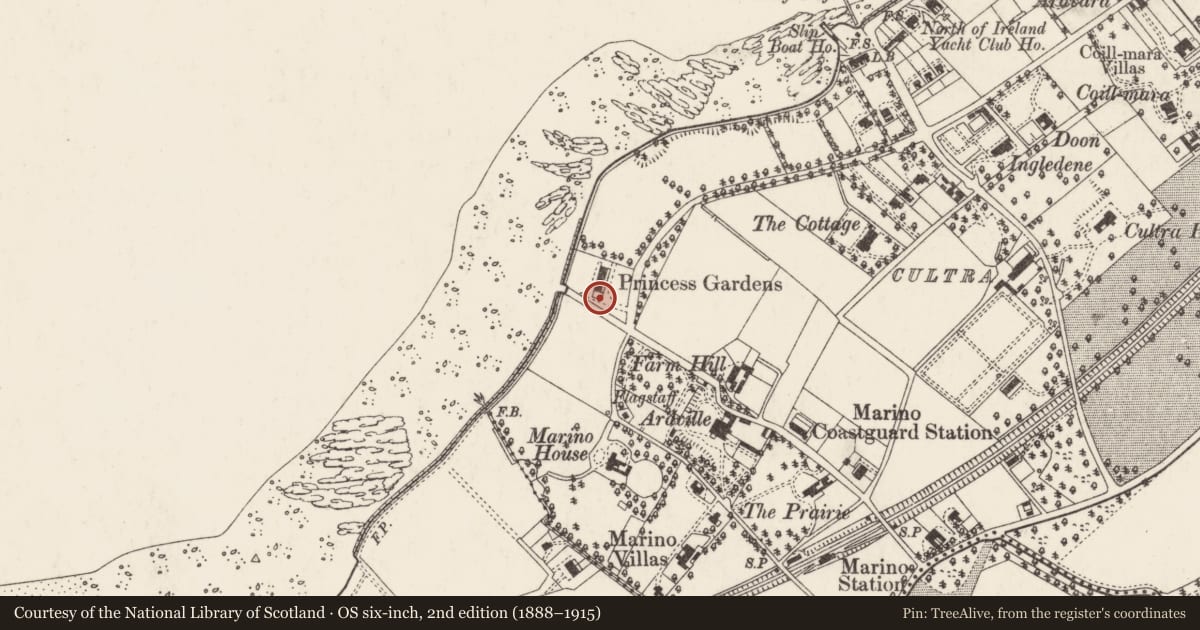 Ordnance Survey six-inch map, 2nd edition (1888–1915) covering the location of 1 Clanbrassil Terrace, Ballycultra, Ards and North Down, with a pin at the register's coordinates