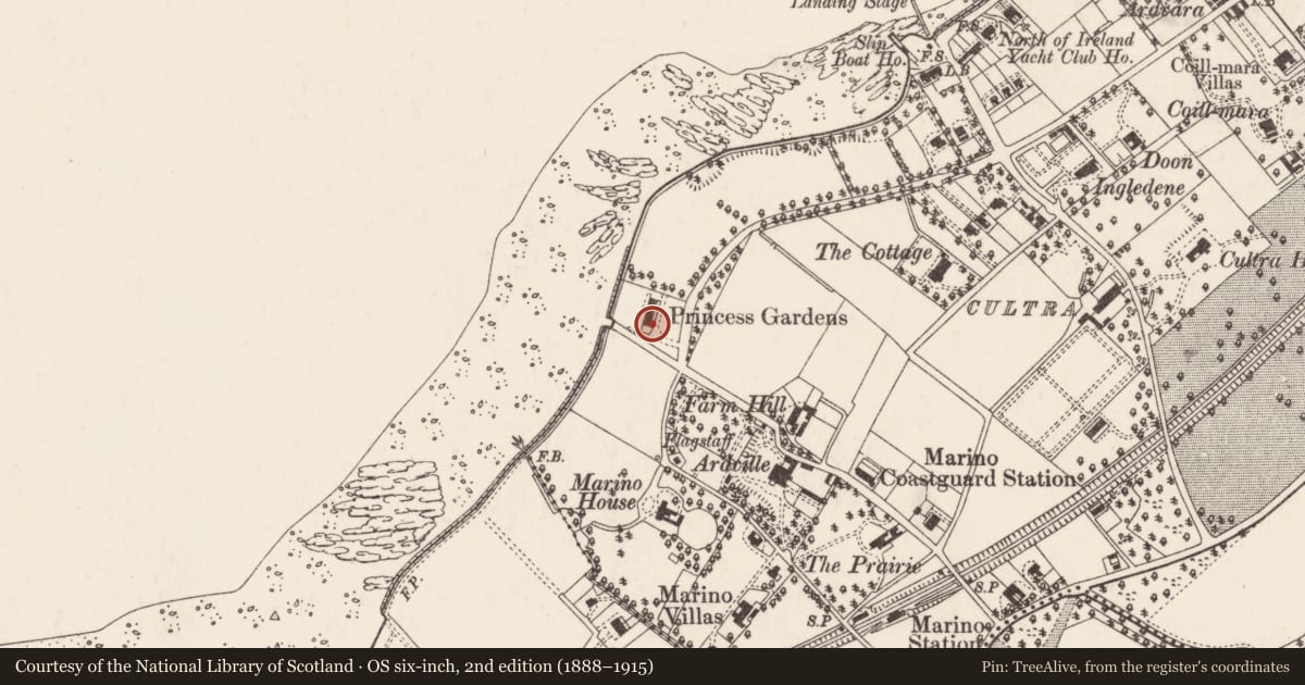 Ordnance Survey six-inch map, 2nd edition (1888–1915) covering the location of 2 Clanbrassil Terrace, Ballycultra, Ards and North Down, with a pin at the register's coordinates
