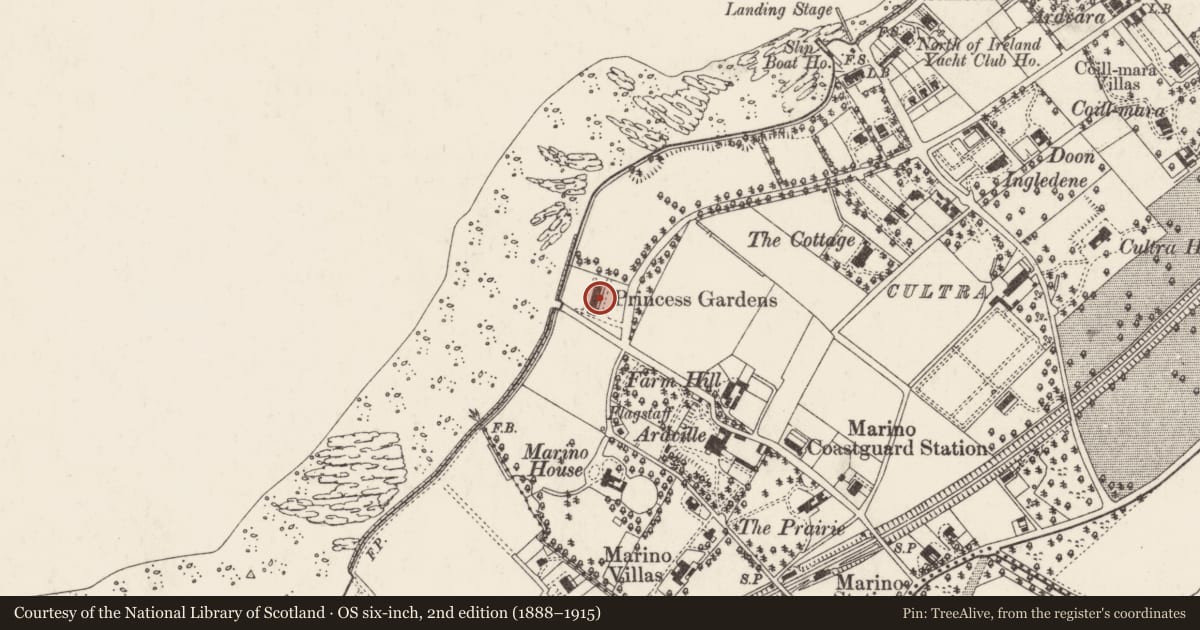 Ordnance Survey six-inch map, 2nd edition (1888–1915) covering the location of 3 Clanbrassil Terrace, Ballycultra, Ards and North Down, with a pin at the register's coordinates