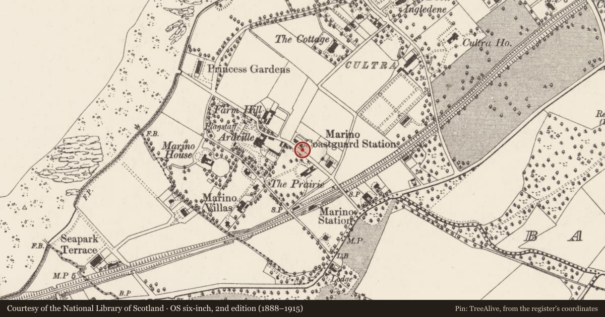 Ordnance Survey six-inch map, 2nd edition (1888–1915) covering the location of 1 Coastguard Cottages, Ballycultra, Ards and North Down, with a pin at the register's coordinates