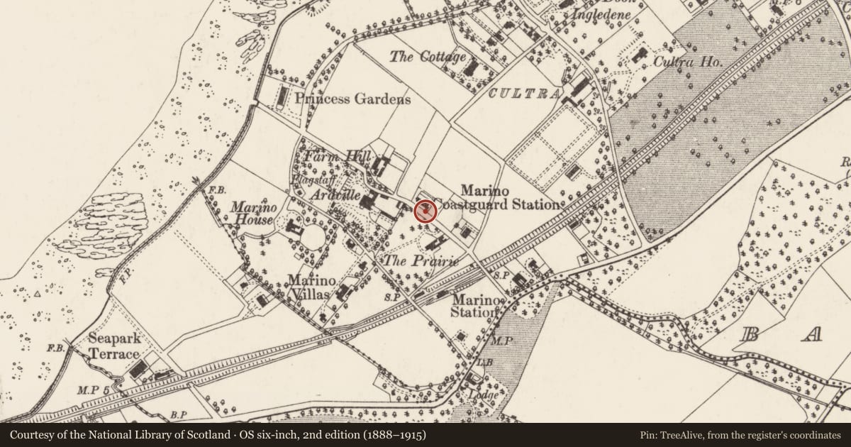 Ordnance Survey six-inch map, 2nd edition (1888–1915) covering the location of 2 Coastguard Cottages, Ballycultra, Ards and North Down, with a pin at the register's coordinates