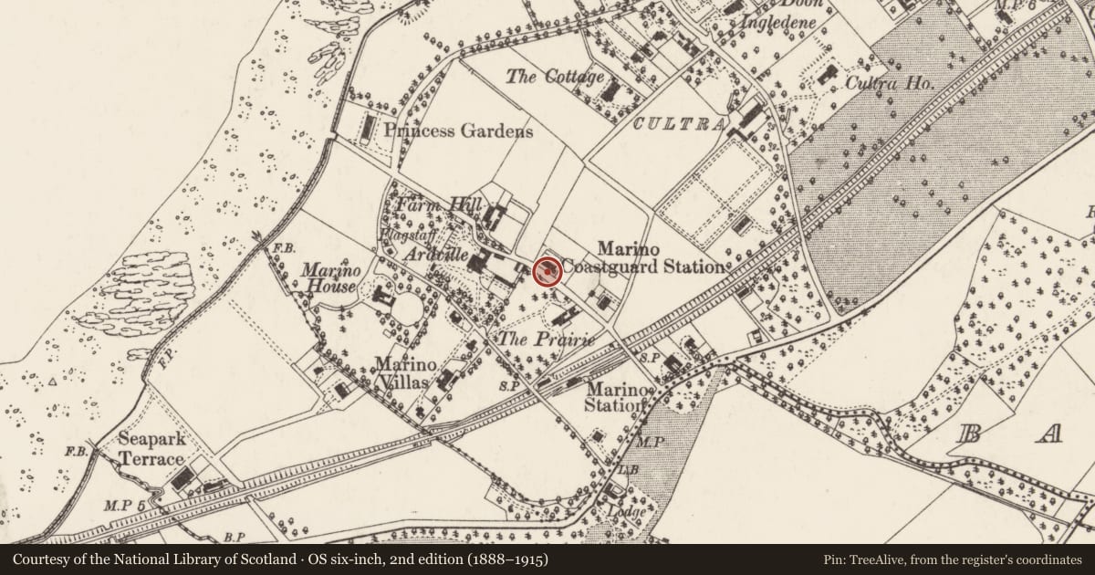 Ordnance Survey six-inch map, 2nd edition (1888–1915) covering the location of 4 Coastguard Cottages, Ballycultra, Ards and North Down, with a pin at the register's coordinates