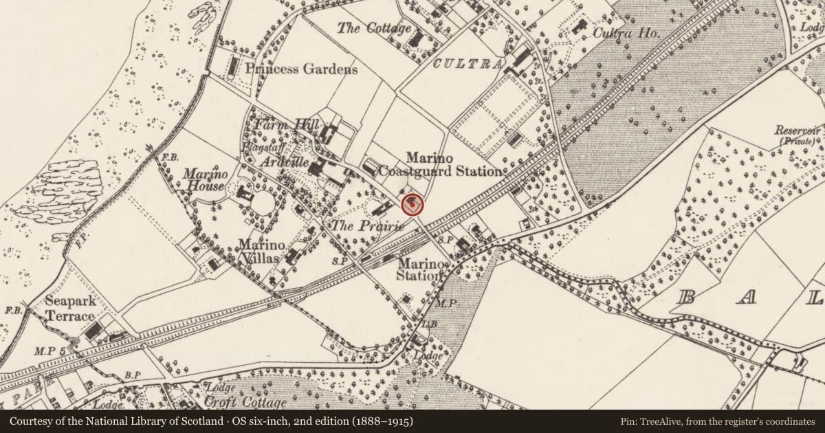 Ordnance Survey six-inch map, 2nd edition (1888–1915) covering the location of Greenage and Clooneen, Ards and North Down, with a pin at the register's coordinates