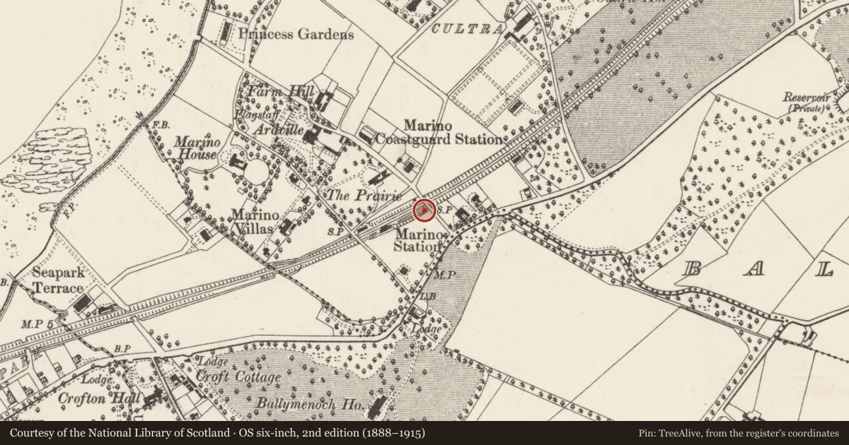 Ordnance Survey six-inch map, 2nd edition (1888–1915) covering the location of Farmhill Road Bridge, Ards and North Down, with a pin at the register's coordinates