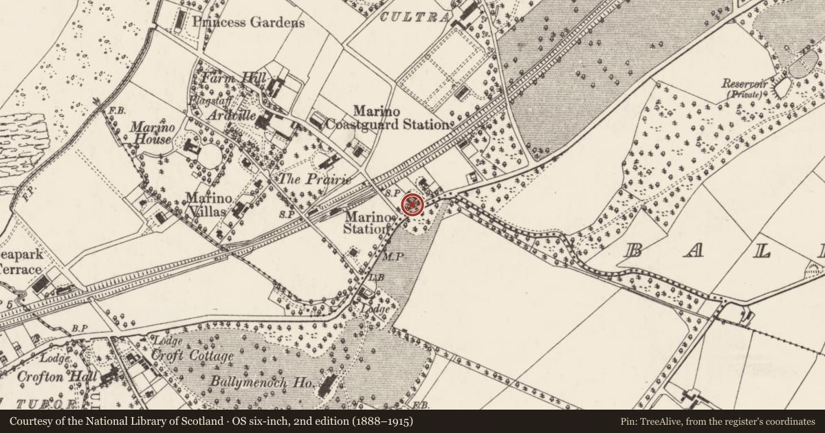 Ordnance Survey six-inch map, 2nd edition (1888–1915) covering the location of Lynwood and Woodleigh, Ards and North Down, with a pin at the register's coordinates