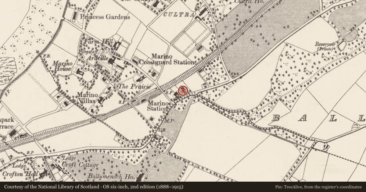 Ordnance Survey six-inch map, 2nd edition (1888–1915) covering the location of Thornleigh 106 Bangor Road, Holywood, co Down, BT18 0LR, Ards and North Down, with a pin at the register's coordinates