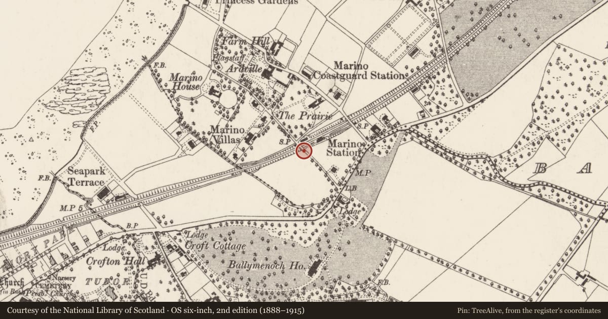 Ordnance Survey six-inch map, 2nd edition (1888–1915) covering the location of Marino Station Bridge, Ards and North Down, with a pin at the register's coordinates