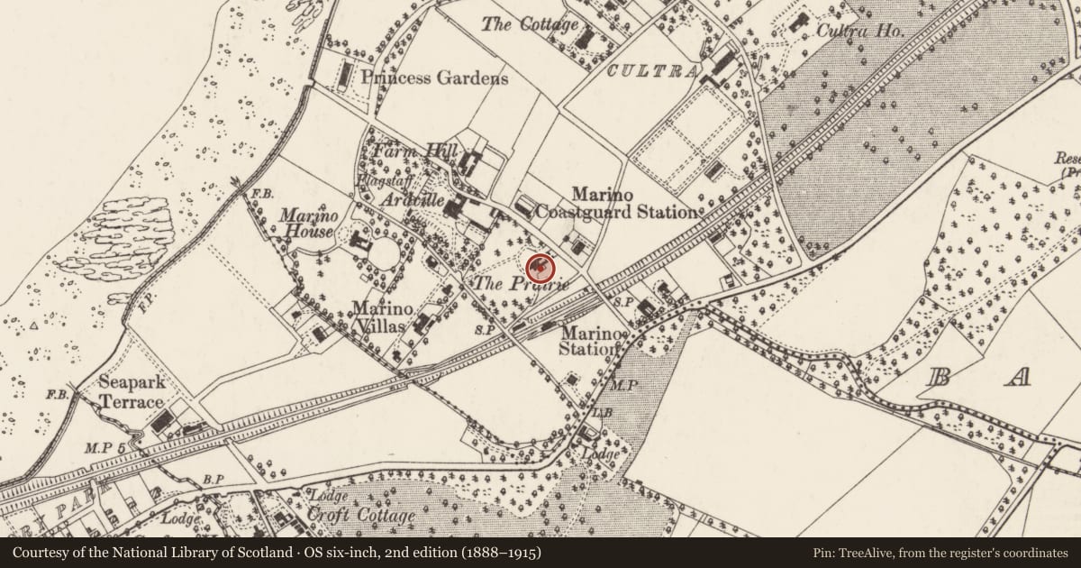 Ordnance Survey six-inch map, 2nd edition (1888–1915) covering the location of The Priory, Ards and North Down, with a pin at the register's coordinates
