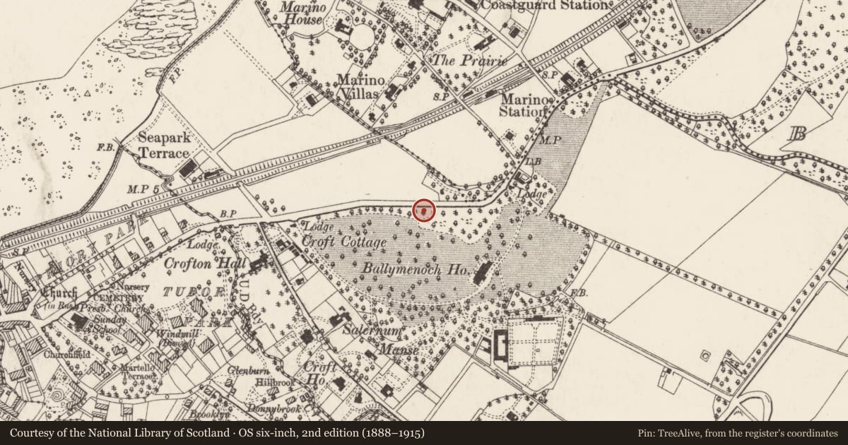 Ordnance Survey six-inch map, 2nd edition (1888–1915) covering the location of Ice house, Ards and North Down, with a pin at the register's coordinates