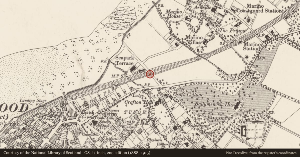 Ordnance Survey six-inch map, 2nd edition (1888–1915) covering the location of Railway Bridge, Ballymenagh, Ards and North Down, with a pin at the register's coordinates