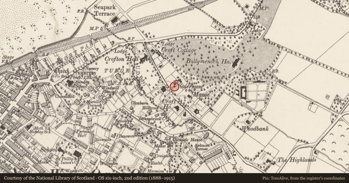 Ordnance Survey six-inch map, 2nd edition (1888–1915) covering the location of Salernum and Netherfield, Ards and North Down, with a pin at the register's coordinates