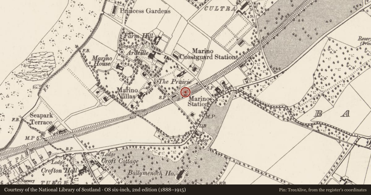 Ordnance Survey six-inch map, 2nd edition (1888–1915) covering the location of Marino Station, Ards and North Down, with a pin at the register's coordinates
