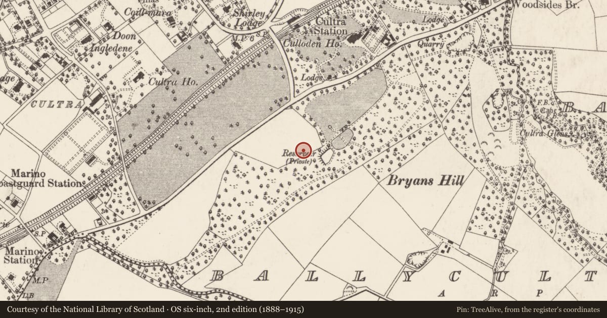 Ordnance Survey six-inch map, 2nd edition (1888–1915) covering the location of The Hill, Ballycultra, Ards and North Down, with a pin at the register's coordinates