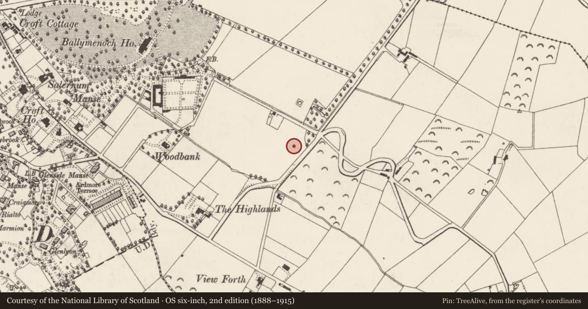 Ordnance Survey six-inch map, 2nd edition (1888–1915) covering the location of Old Head, Ards and North Down, with a pin at the register's coordinates