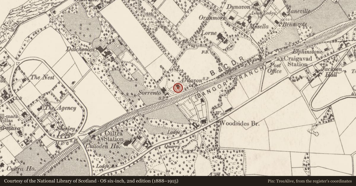 Ordnance Survey six-inch map, 2nd edition (1888–1915) covering the location of Ardavon, Ballycultra, Ards and North Down, with a pin at the register's coordinates