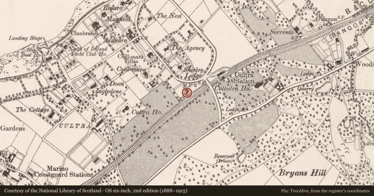 Ordnance Survey six-inch map, 2nd edition (1888–1915) covering the location of Temora, Ballycultra, Ards and North Down, with a pin at the register's coordinates