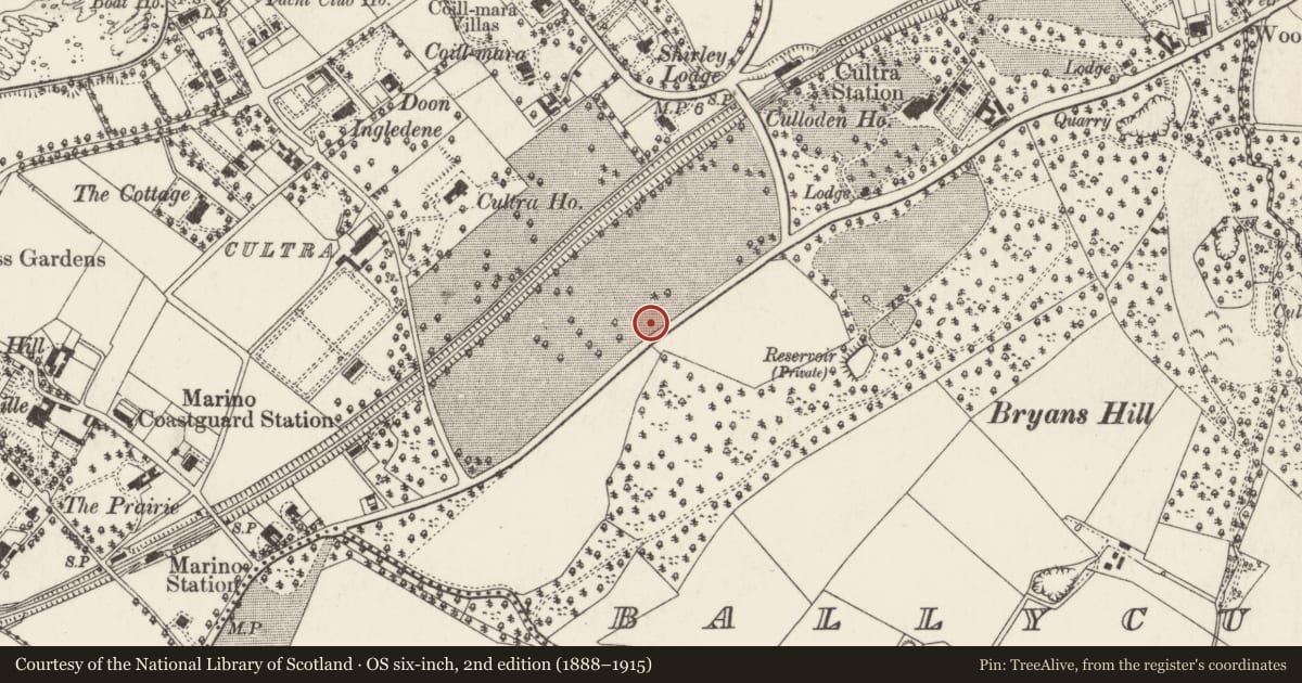 Ordnance Survey six-inch map, 2nd edition (1888–1915) covering the location of Cedarville, Ballycultra, Ards and North Down, with a pin at the register's coordinates