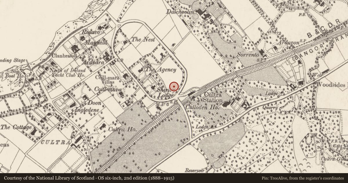 Ordnance Survey six-inch map, 2nd edition (1888–1915) covering the location of St. Catherines, Ballycultra, Ards and North Down, with a pin at the register's coordinates