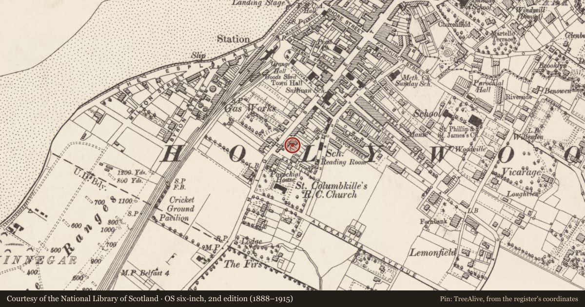 Ordnance Survey six-inch map, 2nd edition (1888–1915) covering the location of 126-128 High Street, Ards and North Down, with a pin at the register's coordinates