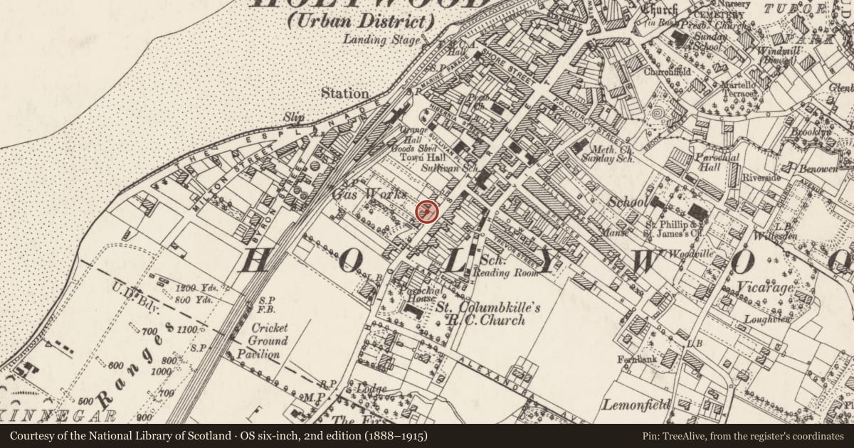 Ordnance Survey six-inch map, 2nd edition (1888–1915) covering the location of 135 High Street, Ards and North Down, with a pin at the register's coordinates