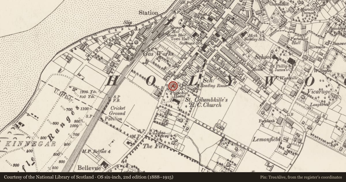 Ordnance Survey six-inch map, 2nd edition (1888–1915) covering the location of 142 High Street, Holywood, Ards and North Down, with a pin at the register's coordinates