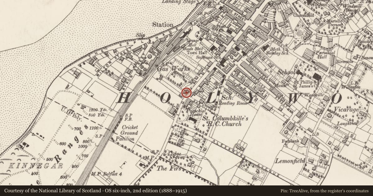 Ordnance Survey six-inch map, 2nd edition (1888–1915) covering the location of St Helen's House, Holywood, Ards and North Down, with a pin at the register's coordinates