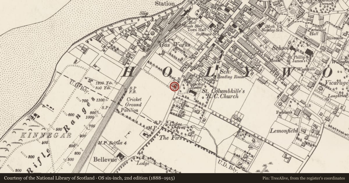 Ordnance Survey six-inch map, 2nd edition (1888–1915) covering the location of 161-165, Ards and North Down, with a pin at the register's coordinates