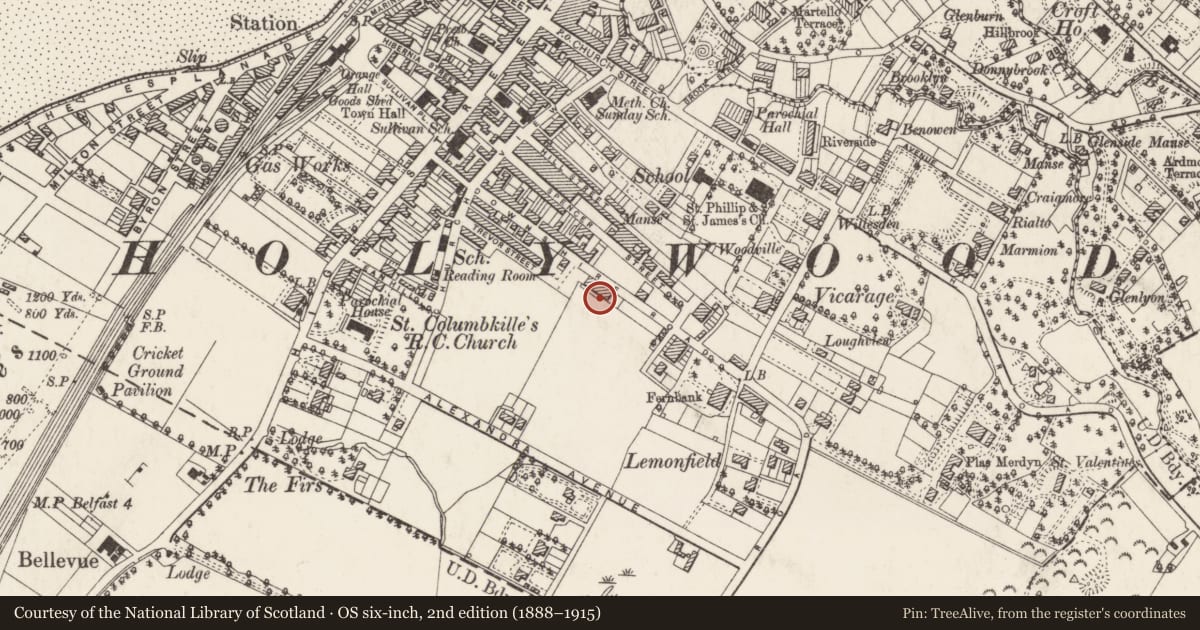 Ordnance Survey six-inch map, 2nd edition (1888–1915) covering the location of 81-95 Downshire Road, Ards and North Down, with a pin at the register's coordinates