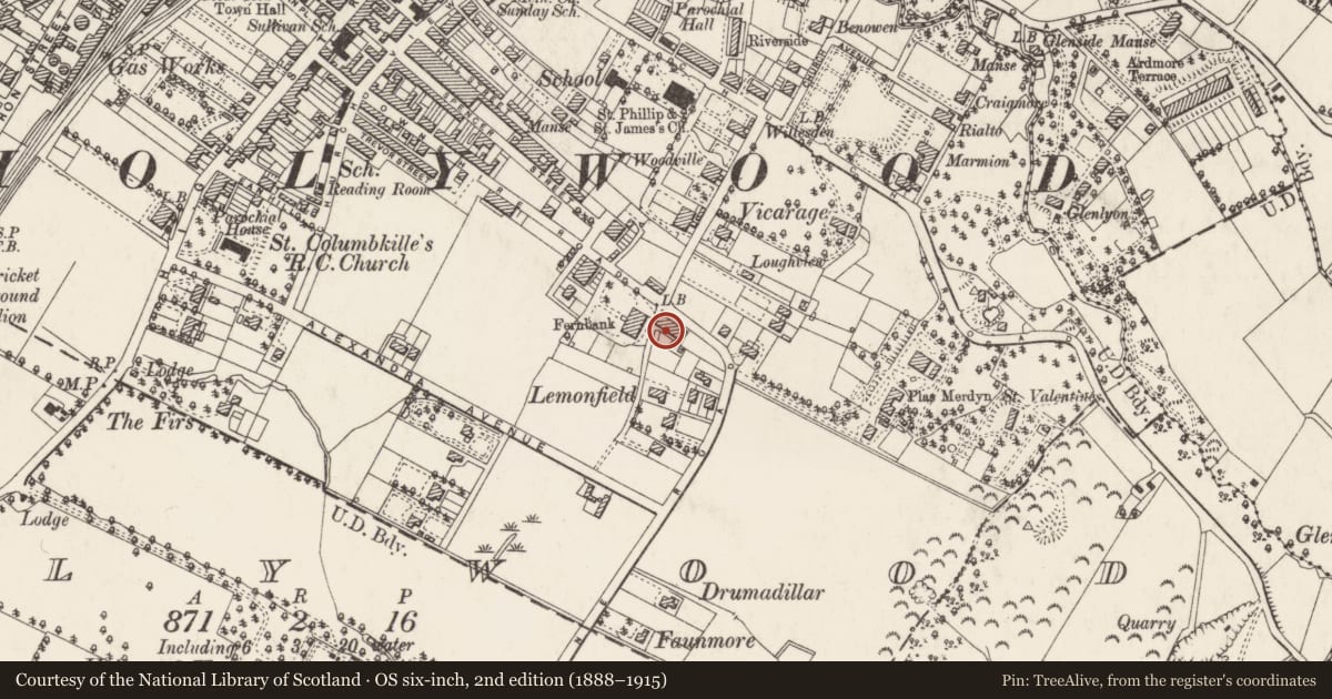 Ordnance Survey six-inch map, 2nd edition (1888–1915) covering the location of 17-25 Demesne Road, Ards and North Down, with a pin at the register's coordinates