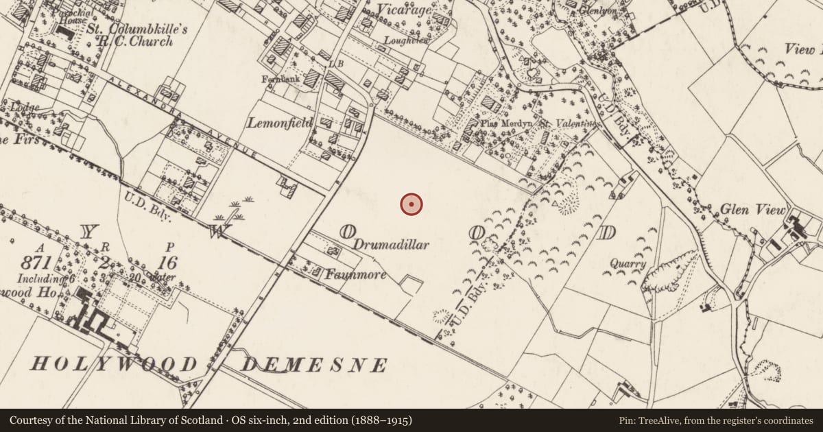 Ordnance Survey six-inch map, 2nd edition (1888–1915) covering the location of 16 Demesne Park, Ards and North Down, with a pin at the register's coordinates