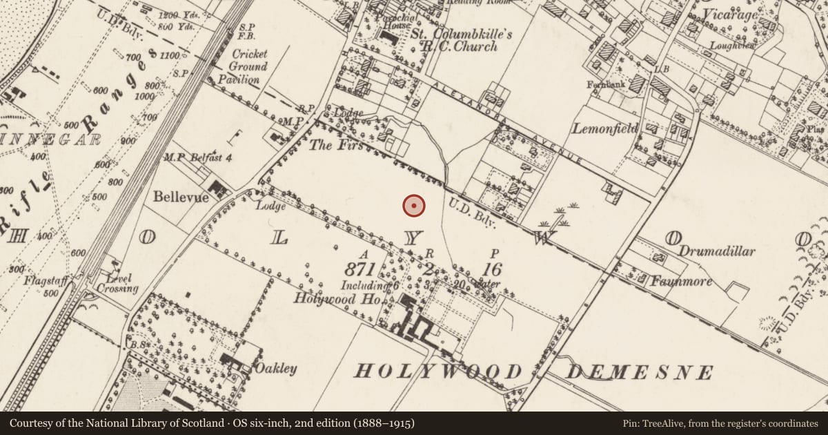 Ordnance Survey six-inch map, 2nd edition (1888–1915) covering the location of Sullivan Upper School, Ards and North Down, with a pin at the register's coordinates