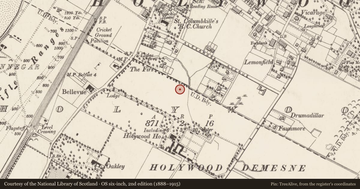 Ordnance Survey six-inch map, 2nd edition (1888–1915) covering the location of Pavilion, Ards and North Down, with a pin at the register's coordinates
