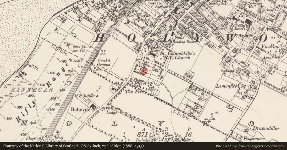 Ordnance Survey six-inch map, 2nd edition (1888–1915) covering the location of 156 High Street, Holywood, Ards and North Down, with a pin at the register's coordinates