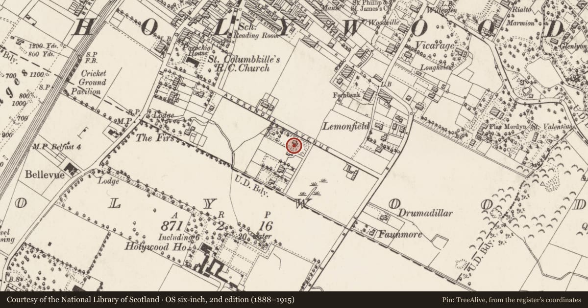 Ordnance Survey six-inch map, 2nd edition (1888–1915) covering the location of Sullivan Upper School Preparatory Department, Holywood, Ards and North Down, with a pin at the register's coordinates