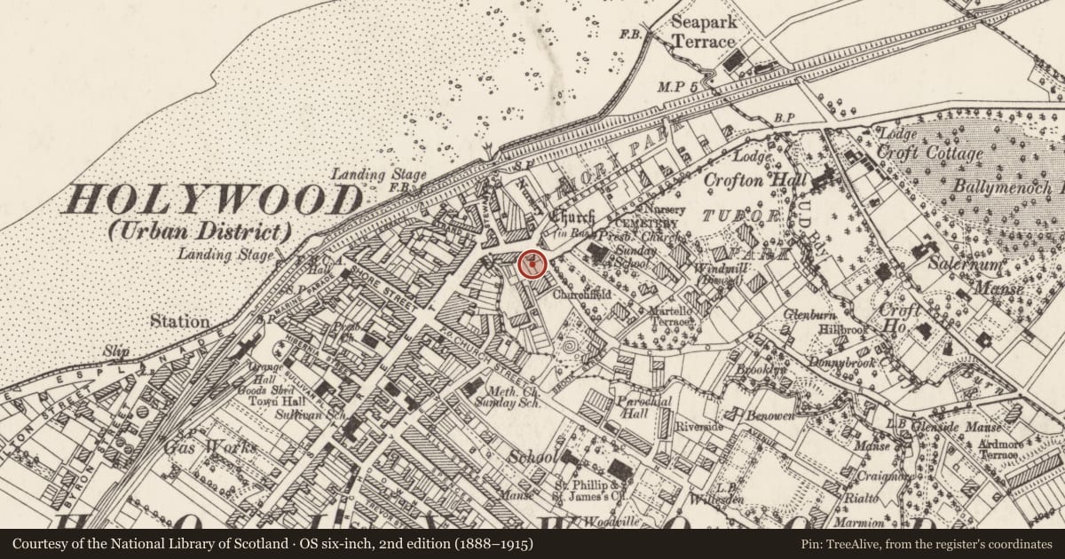 Ordnance Survey six-inch map, 2nd edition (1888–1915) covering the location of 2 High Street, Ards and North Down, with a pin at the register's coordinates
