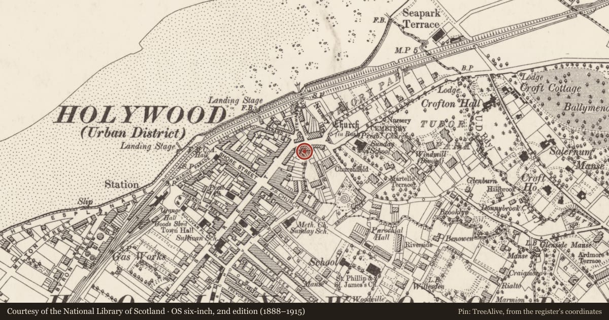 Ordnance Survey six-inch map, 2nd edition (1888–1915) covering the location of 10, 12 and 14 High Street, Ards and North Down, with a pin at the register's coordinates