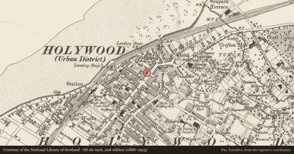 Ordnance Survey six-inch map, 2nd edition (1888–1915) covering the location of 39-41 High Street, Ards and North Down, with a pin at the register's coordinates