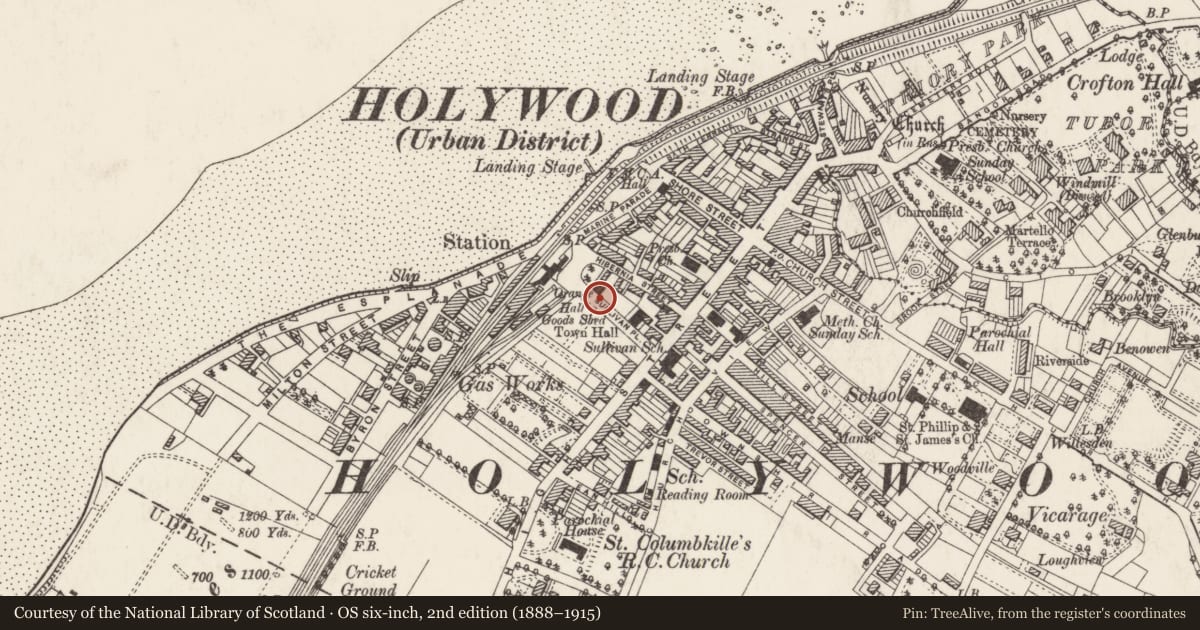 Ordnance Survey six-inch map, 2nd edition (1888–1915) covering the location of Orange Hall, Ards and North Down, with a pin at the register's coordinates